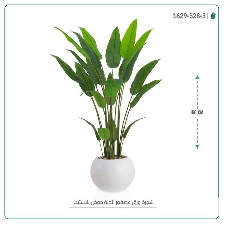 شجرة ورق عصفور الجنة حوض بلاستيك