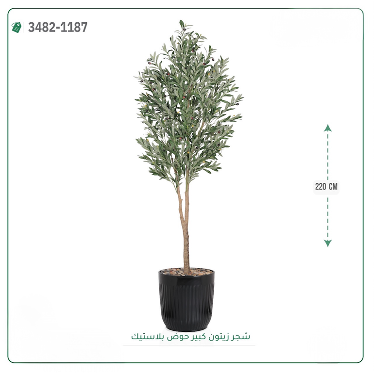 شجرة زيتون صناعية ( ارتفاع 220 سم ) حوض بلاستك