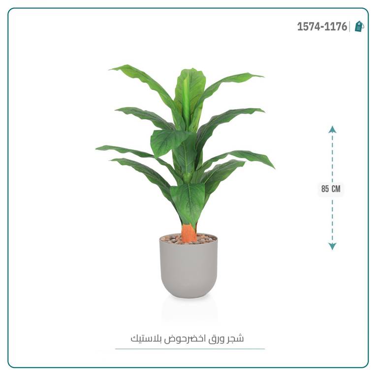 شجرة ورق موز صغير بمركن بلاستيك أسطواني