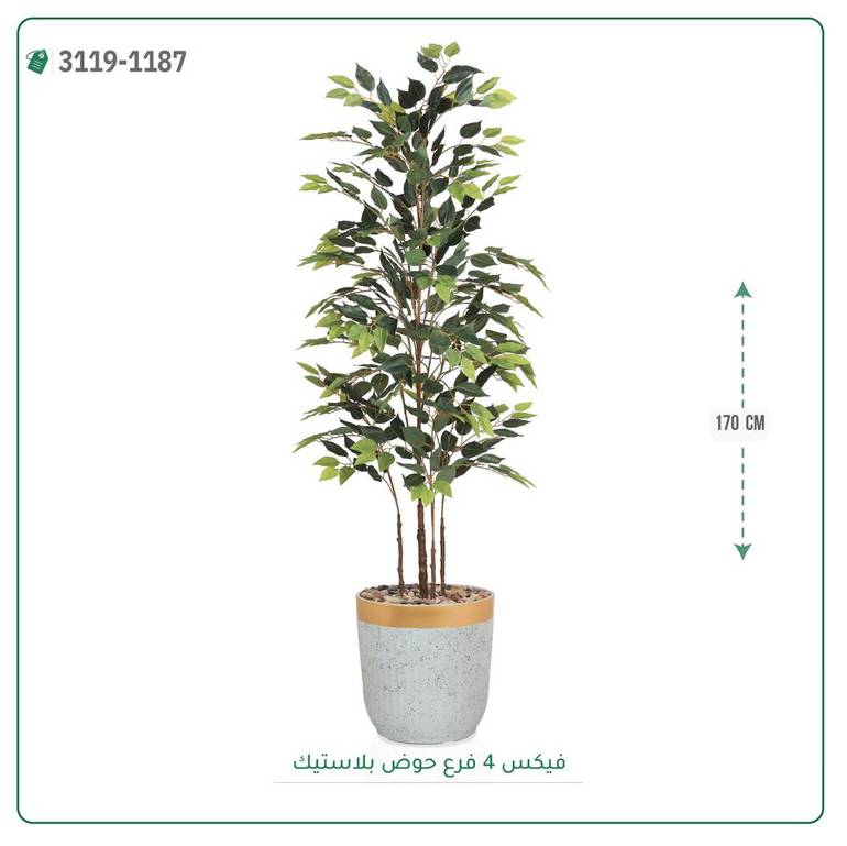 شجر فيكس صناعية ( ارتفاع 170 سم ) حوض بلاستك