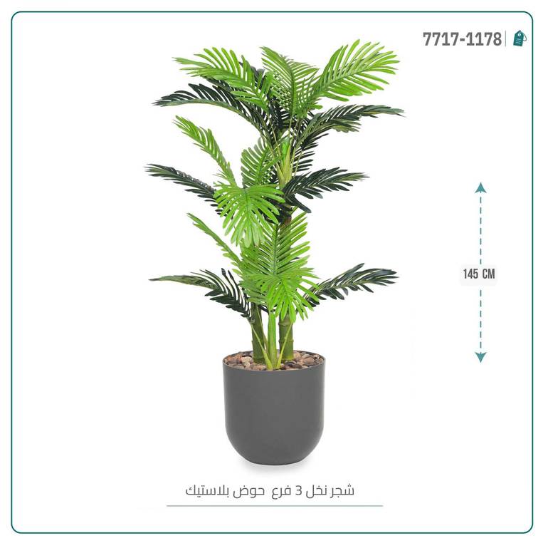 نخل أريكا صغير (3 فروع) بمركن بلاستيك أسطواني
