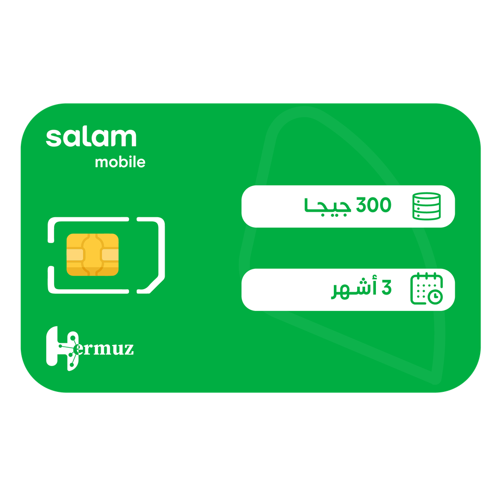 سلام شريحة بيانات 300 جيجا مسبقة الدفع | 90 يوم