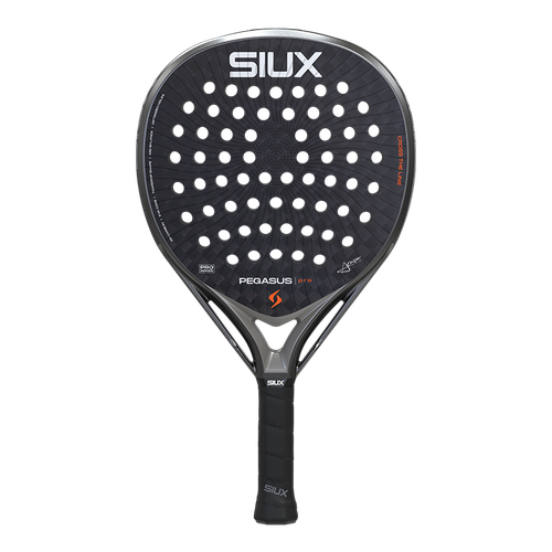 Pegasus Pro 2026 Storm Gray