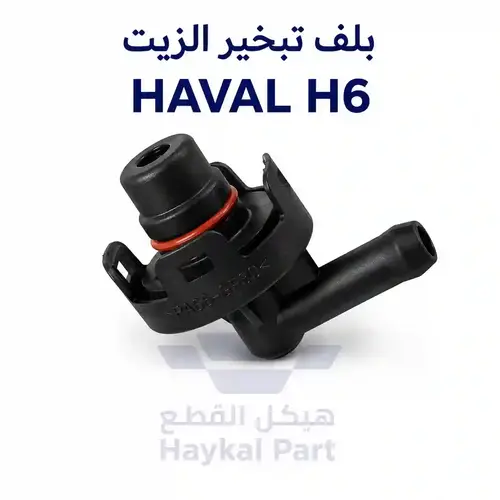 بلف تبخير هافال اتش 6 | Haval H6 أصلي