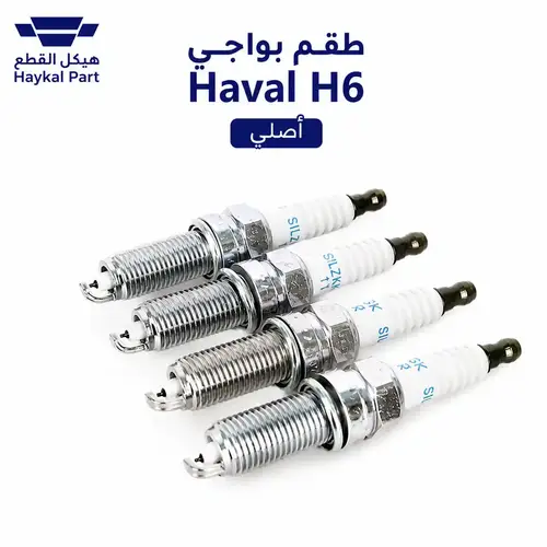 بواجي Haval H6 | اصلي