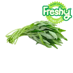 فريشي حبق محلي 1 ربطة