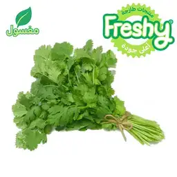 فريشي كزبرة مغسولة 1 ربطة