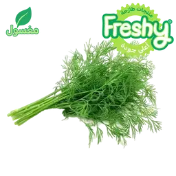 فريشي شبت مغسول 1 ربطة