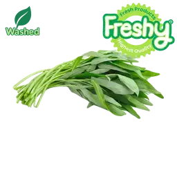 فريشي حبق مغسول 1 ربطة
