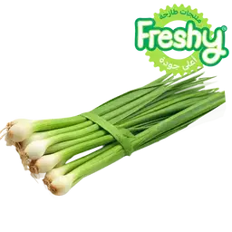 فريشي بصل أخضر محلي 1 ربطة