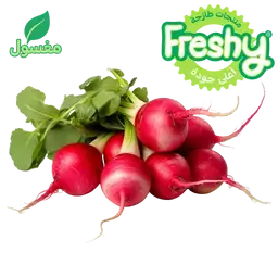 فريشي فجل احمر مغسول 1 ربطة