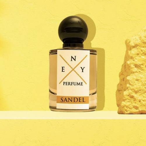 SANDEL NEY