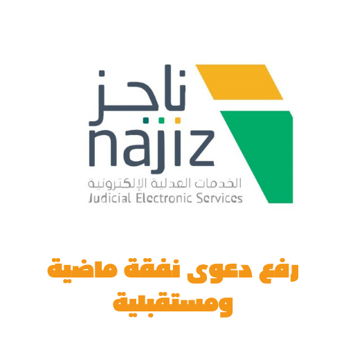 رفع دعوى نفقة
