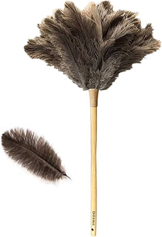 Ostrich feathers