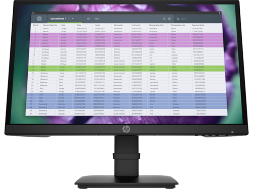 HP P22 G4 21.5 FHD Monitor