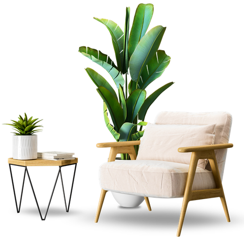 Modern Lounge Chair Set with Side Table and Decorative Plant