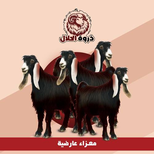 معزاء عوارض 