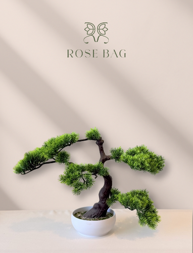 بونساي إليغانس