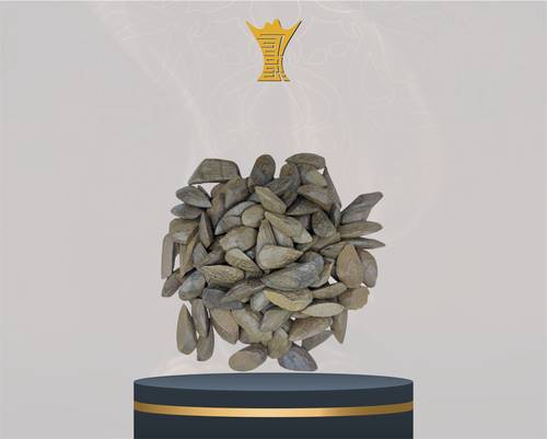 مروكي فيوري محسن