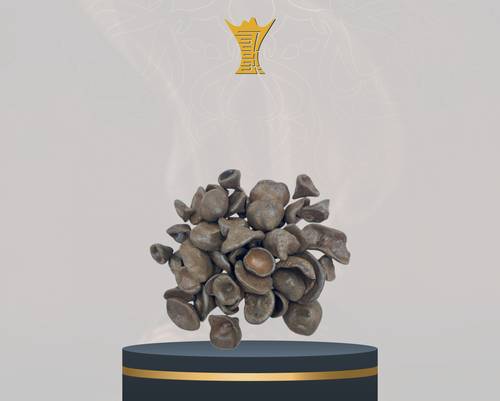 قواقع كمبودي محسن