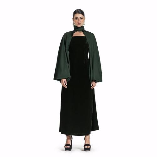 Maison Ein Velvet & Silk Maxi Dress 1