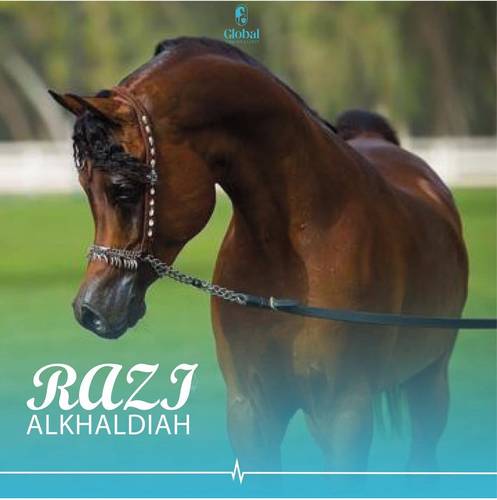 رازي الخالدية 