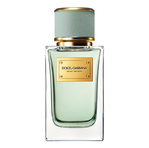 Velvet infusion Dolce&gabbana 100ml eau de parfum