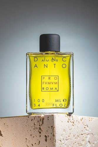 Dincanto Profumum Roma 100ml eau de parfum