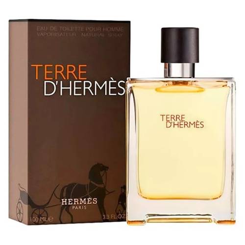 Terre d'hermes Hermès 100ml eau de toilette