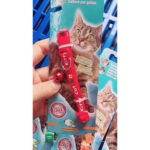 طوق قطط كيتن