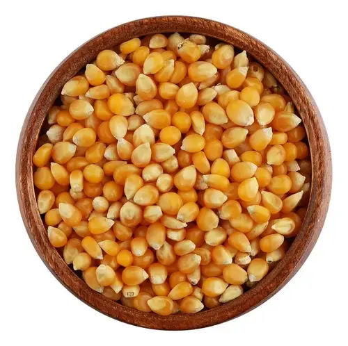 ذرة فشار 