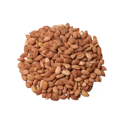 بذر مشمش