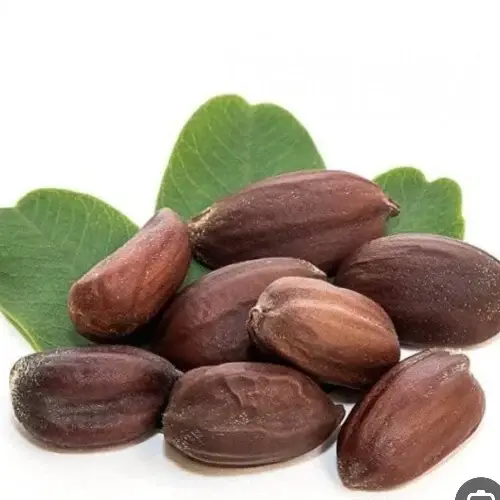 بذور جوجوبا الطبيعية