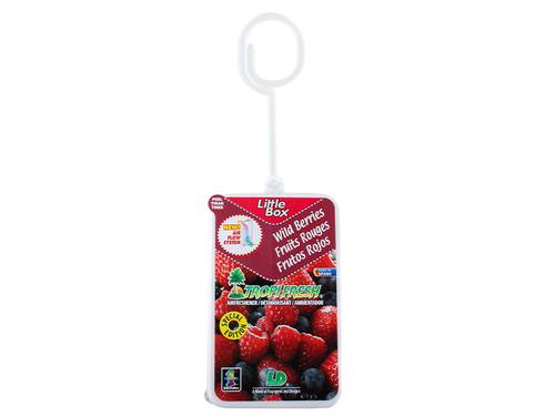 Little box wild berries,L&D Spanish 