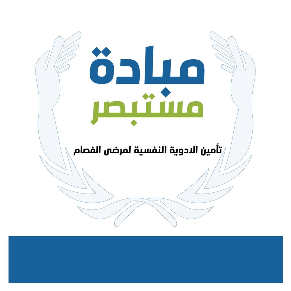 مبادرة مستبصر