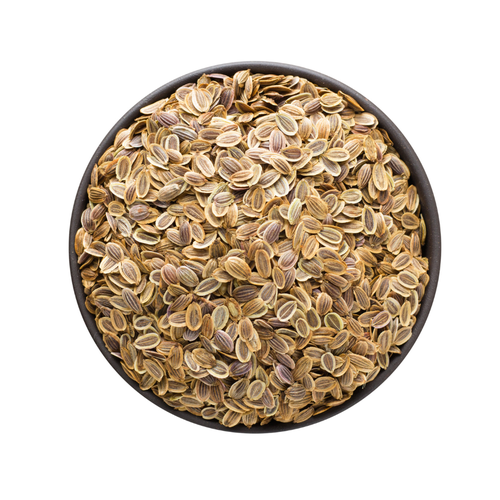 بذور الشبث