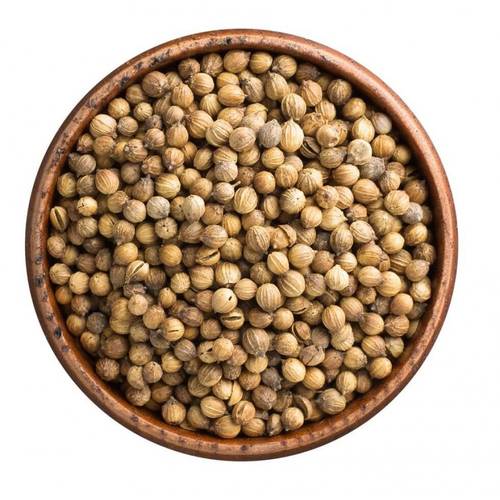 كزبرة