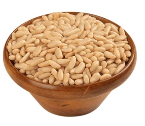 صنوبر باكستاني 