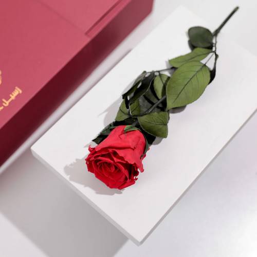 هدية وردة الحب الخالد | مجموعة احساس الفراشة