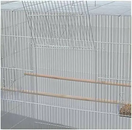 Bird cage 610