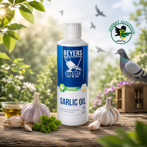 زيت الثوم-Garlic Oil