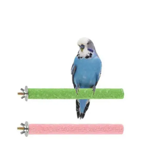 Roost and sand cooler for birds