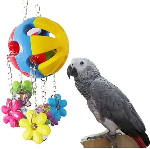 Bird Cages Games