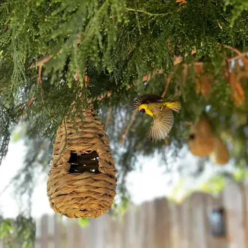 Nest birds of wicker with suspension rope