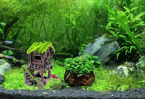 Stone Decor for Ornamental Aquarium