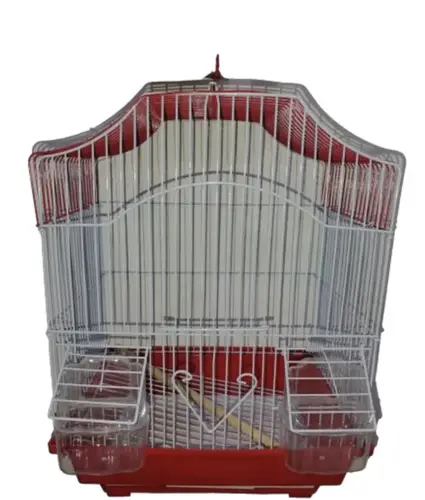 Bird cage - BA06