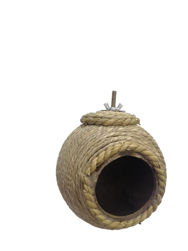 بياضة/ عش طيور