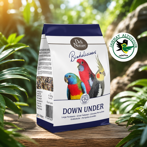 Grote Parkieten Down Under Birdelicious