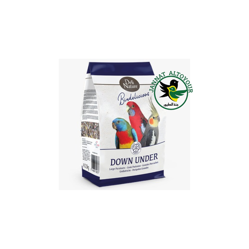 Grote Parkieten Down Under Birdelicious