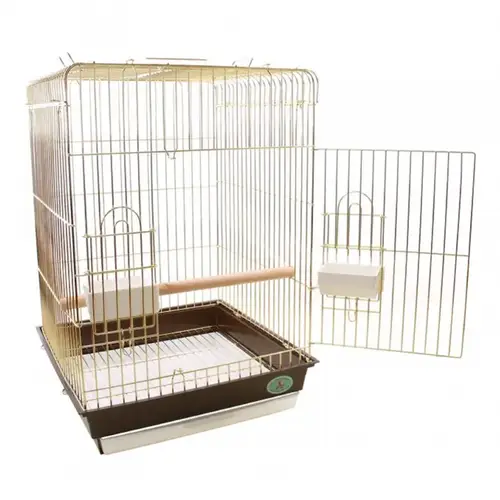 Golden Parrot Cage